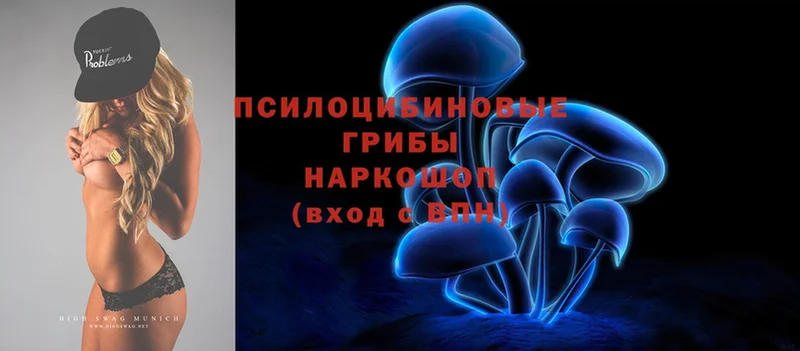 Галлюциногенные грибы Magic Shrooms  блэк спрут зеркало  Боготол 